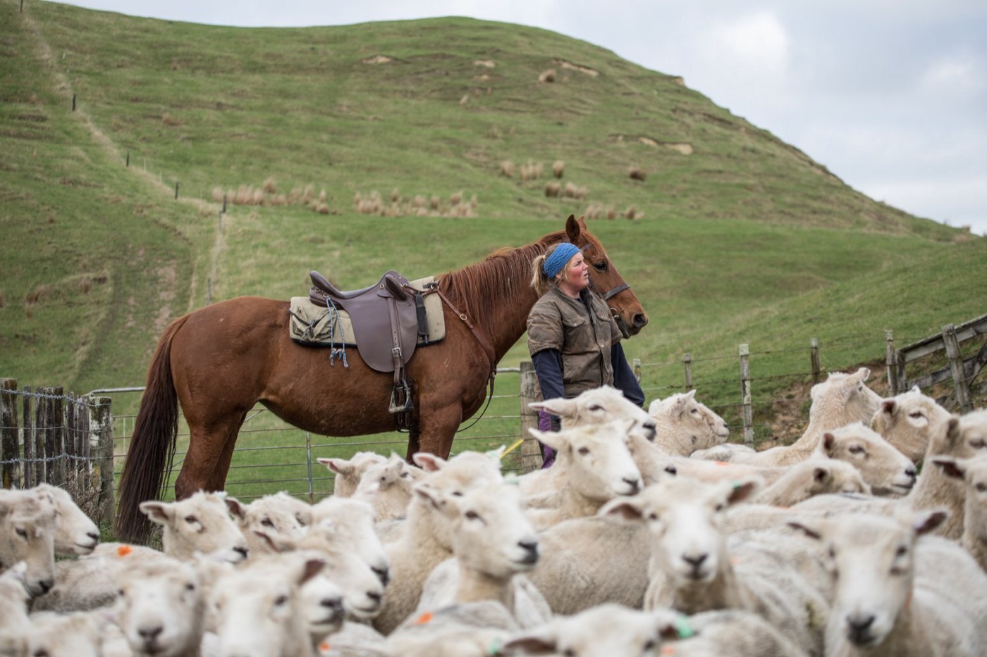 Farmers making fast decisions in the field.