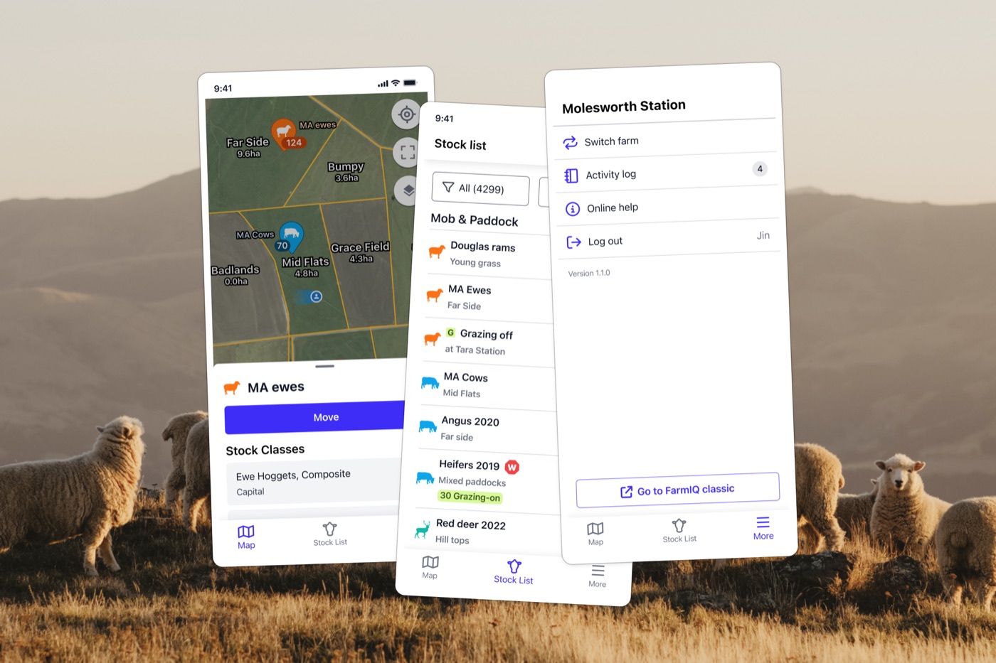 IQ app when I joined: one feature.
