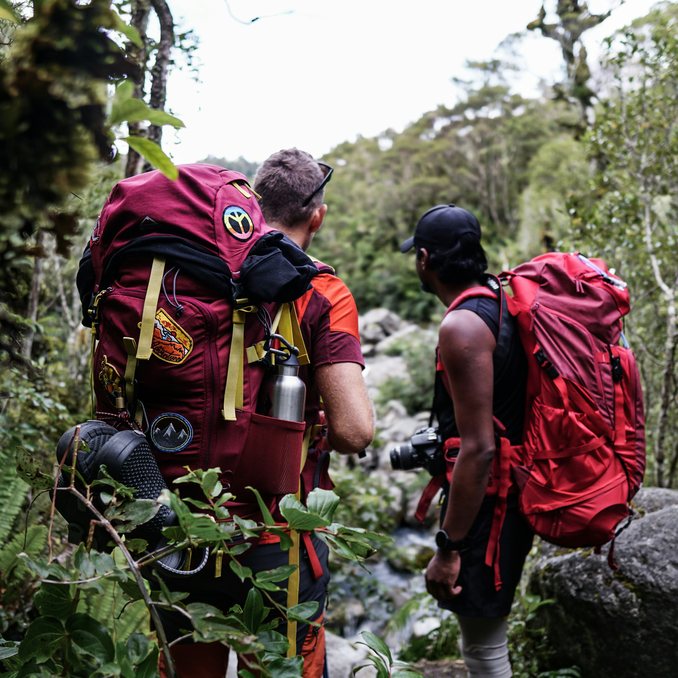 Two trampers with packs walking a bush track in New Zealand